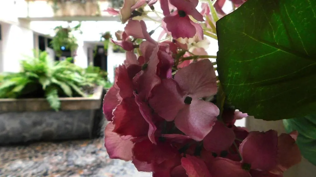 ***  Hotel Natural Medellin Colombia