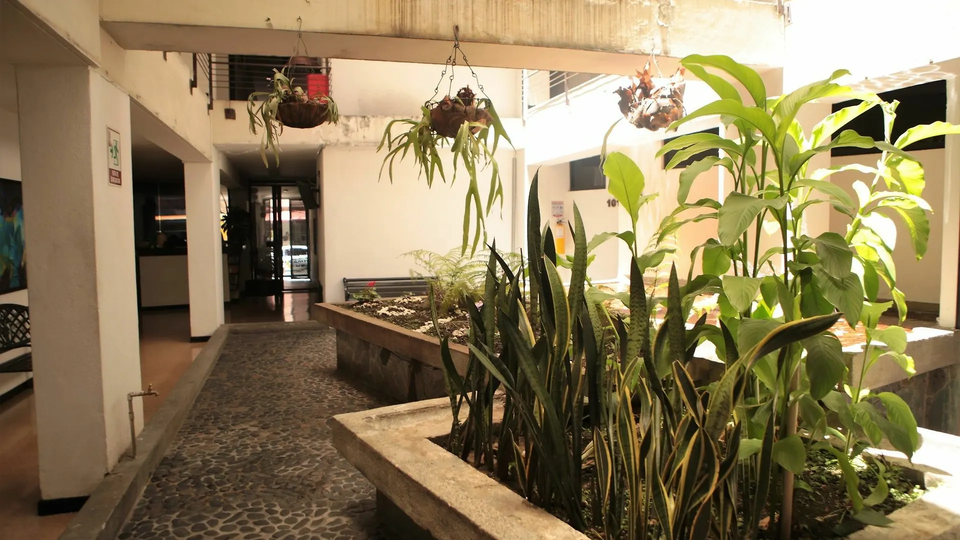 Hotel Natural Medellín
